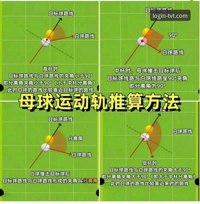TVT体育平台使用教程：新手必备的完整操作指南